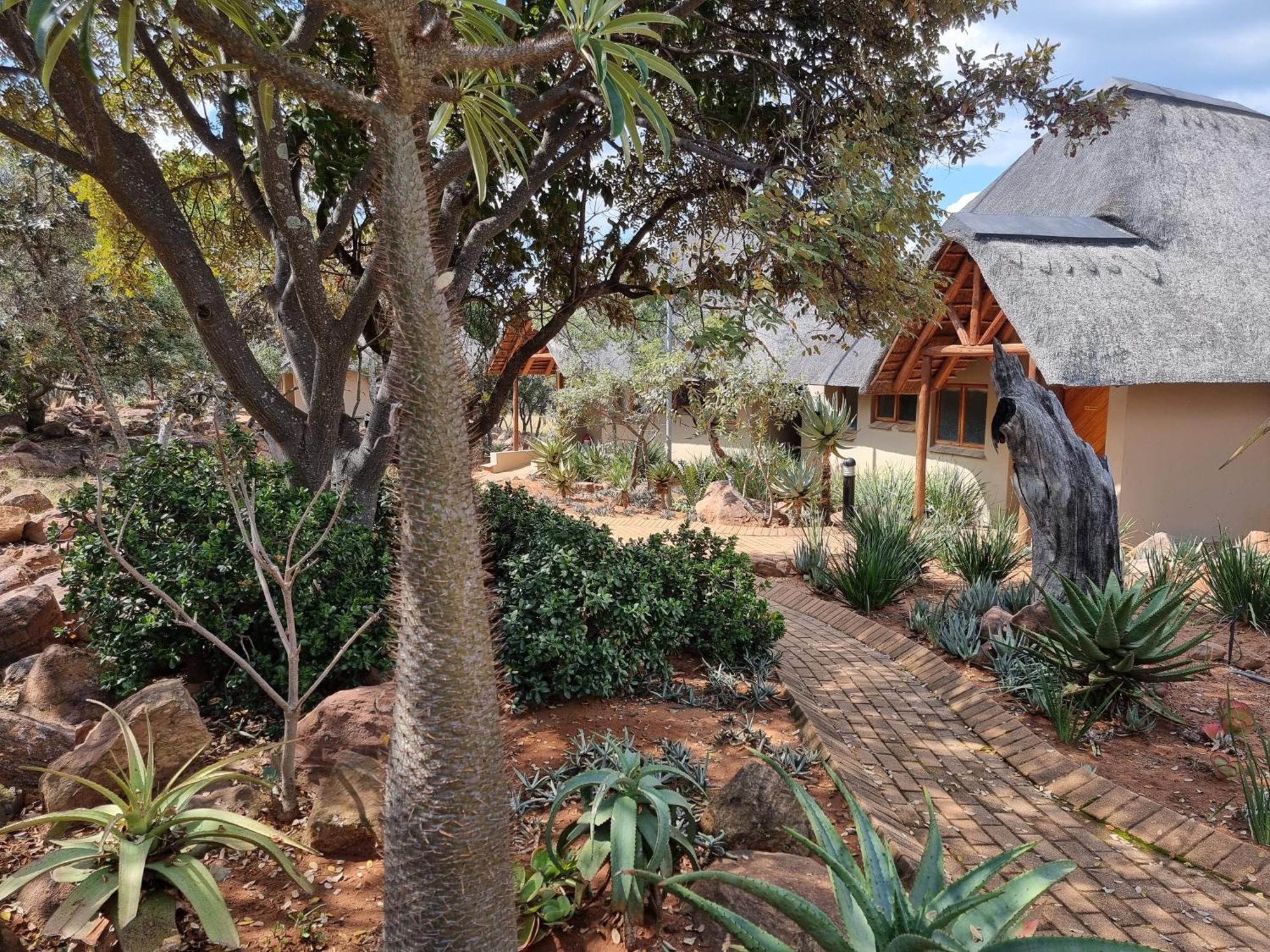 Matingwe Lodge Hartbeestfontein Exterior foto